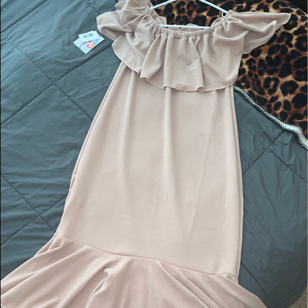 NWT LLR CICI